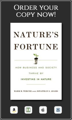 Buy Nature's Fortune by Mark Tercek